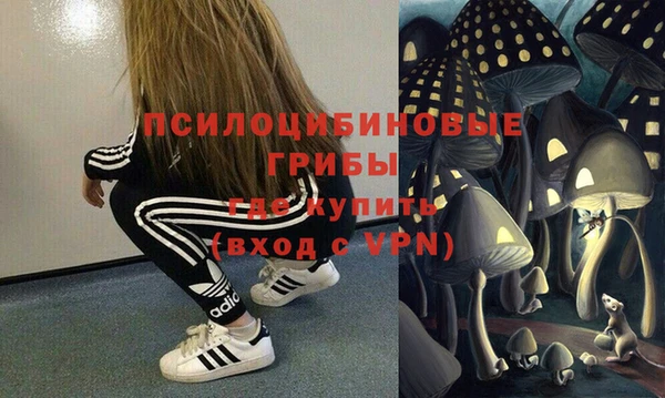 ГАЛЛЮЦИНОГЕННЫЕ ГРИБЫ Армянск