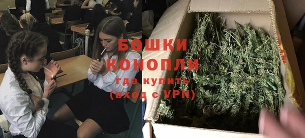 кокс Арсеньев