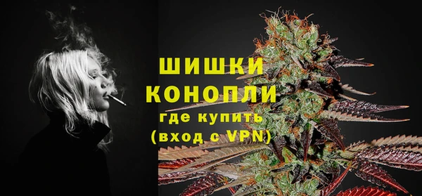 кокс Арсеньев