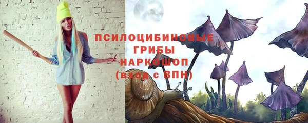 ГАЛЛЮЦИНОГЕННЫЕ ГРИБЫ Армянск