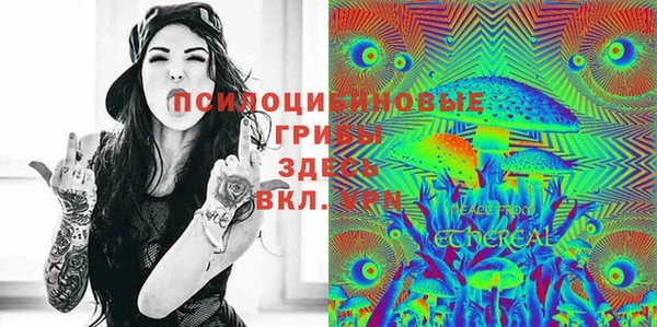 кокс Арсеньев
