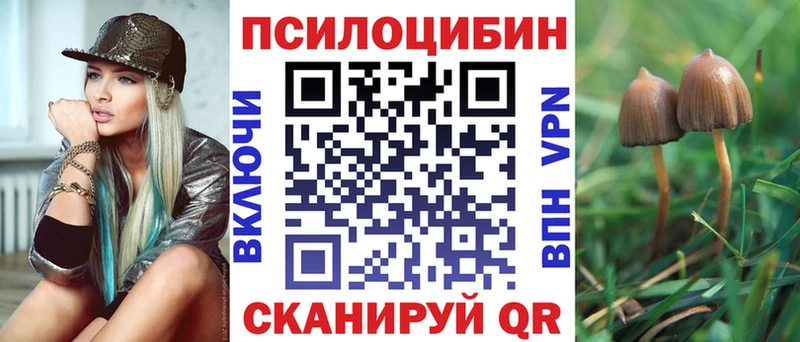 KRAKEN tor  Лихославль  Галлюциногенные грибы Magic Shrooms 